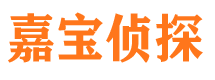 沙坡头市侦探公司